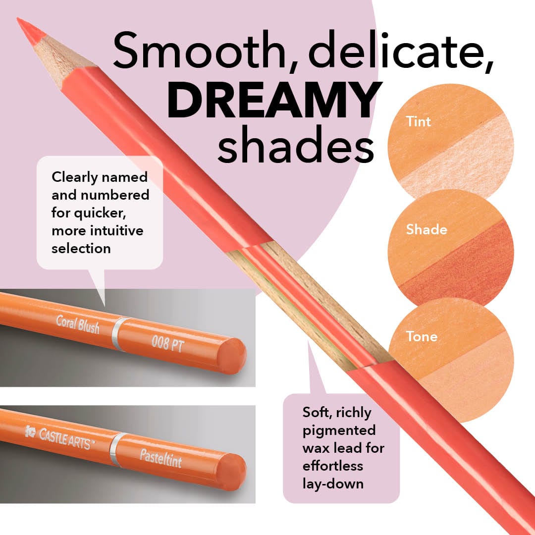 342 pièces Poule d'œuvre de cas de zip coloriste experte