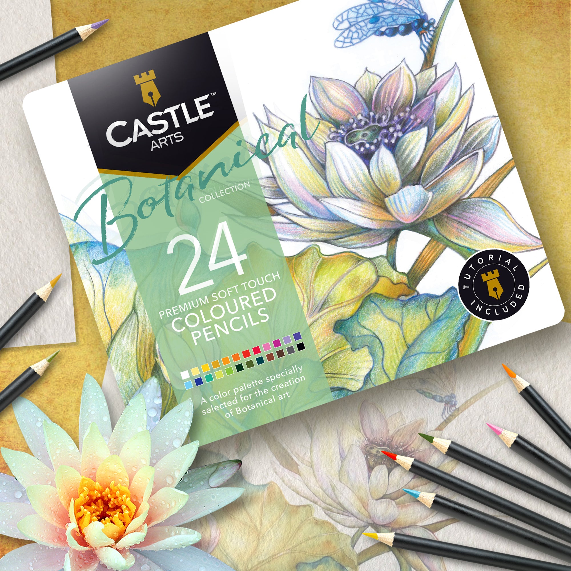 24 -teiliges botanischer Bleistift in Display -Dose