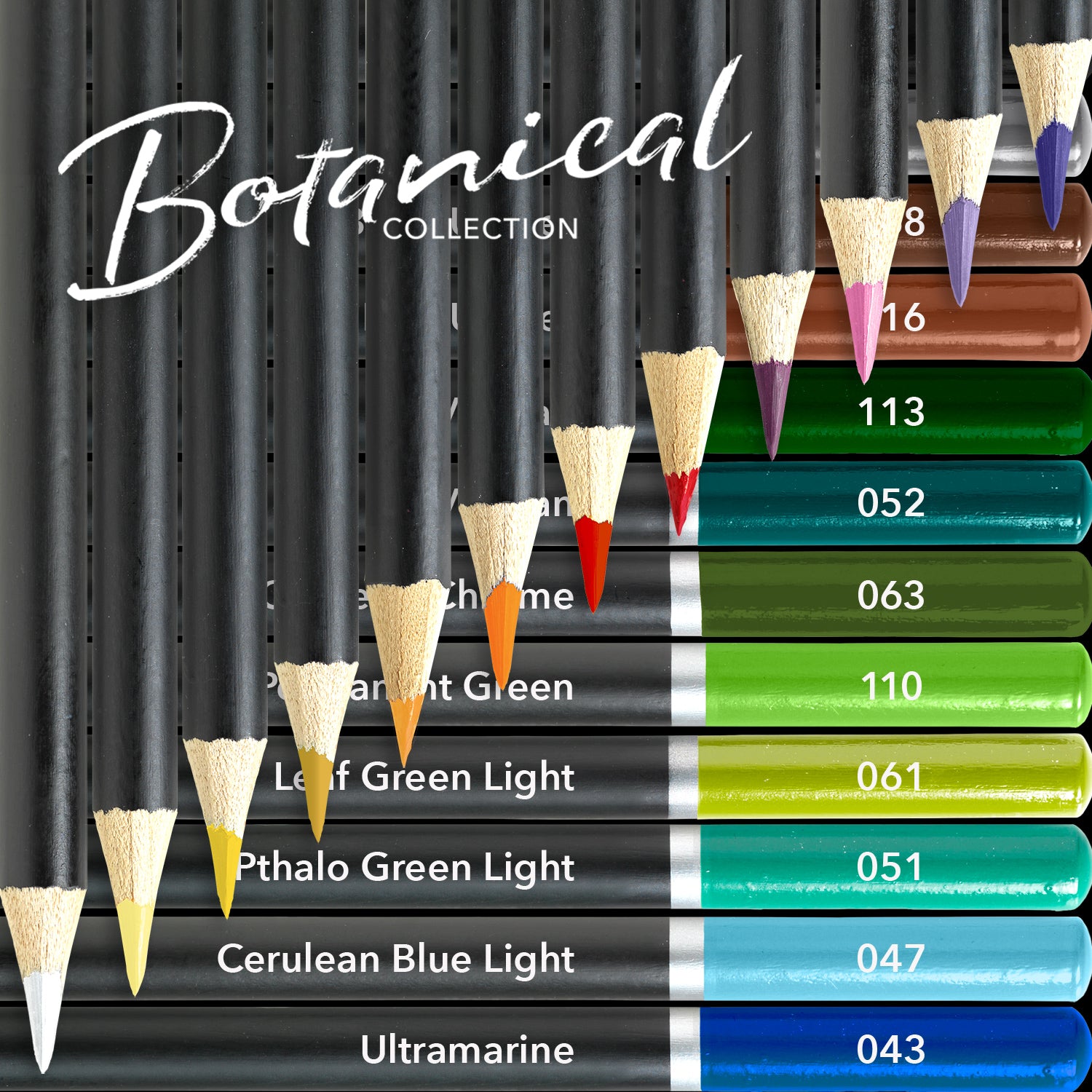 24 -teiliges botanischer Bleistift in Display -Dose